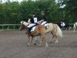 img_5708_web